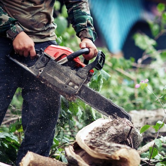 Como escolher a melhor motosserra.jpg
