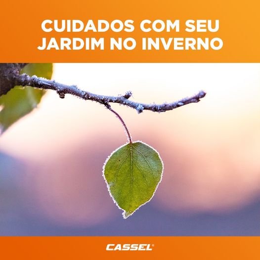 cuidados com o jardim no inverno
