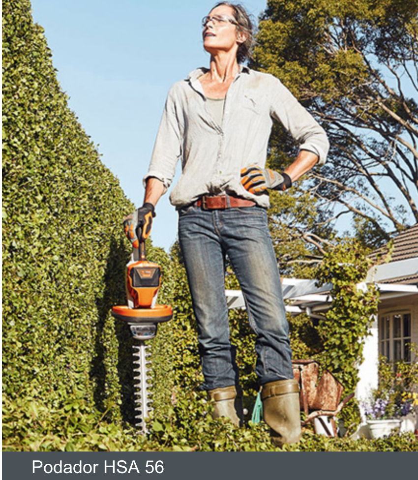 Captura de Tela 2018-11-24 às 11.52.42.png