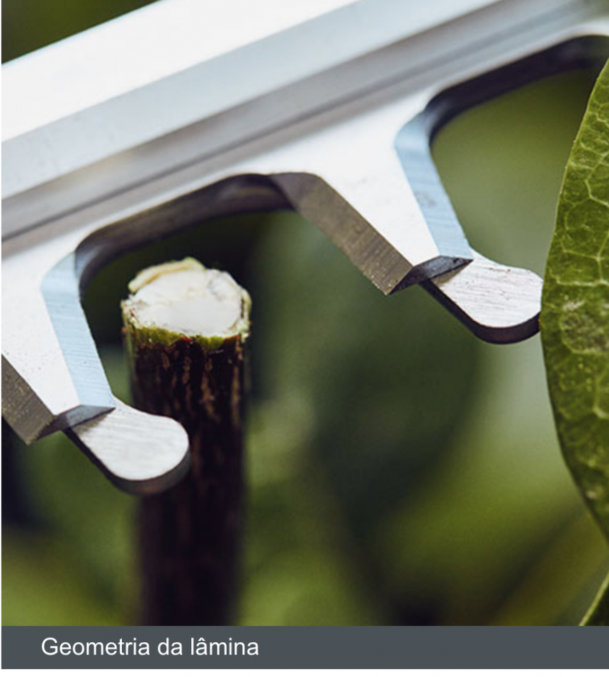 Captura de Tela 2018-11-24 às 11.53.03.png