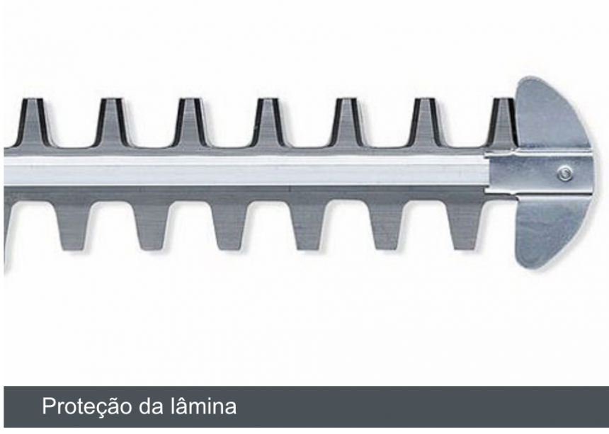 Captura de Tela 2018-11-26 às 10.12.16.png