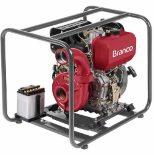 MOTOBOMBA BD 815 I Part. Elétrica - Centrífuga