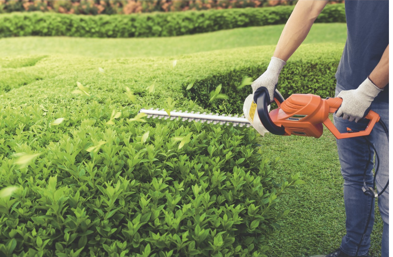 Captura de Tela 2018-10-09 às 10.17.07.png