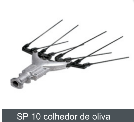 Captura de Tela 2018-11-10 às 15.38.20.png