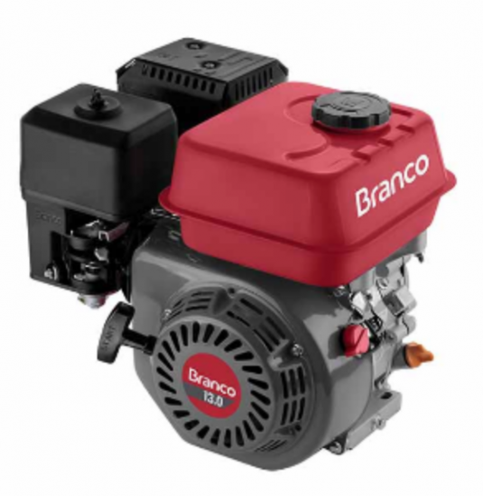 MOTOR B4T 13,0CV H c/Part. Eletr.