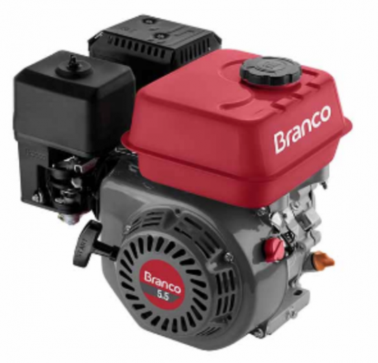 MOTOR B4T 5,5CV H -Part. Manual Sem alerta de óleo