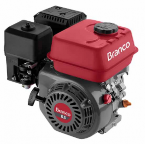 MOTOR B4T 6,5CV EIXO H Part. Manual