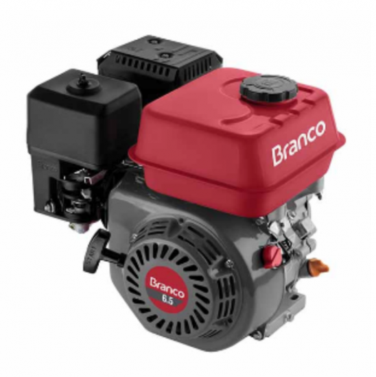 MOTOR B4T 6,5CV H c/Part. Eletr.