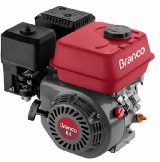 MOTOR B4T 6,5CV H Part. Manual Sem Alerta de Óleo