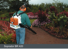 Captura de Tela 2018-11-13 às 16.24.17.png