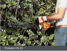 Captura de Tela 2018-11-13 às 16.47.33.png