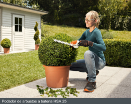 Captura de Tela 2018-11-19 às 23.34.03.png