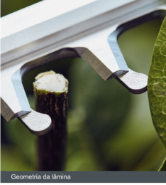 Captura de Tela 2018-11-24 às 11.53.03.png