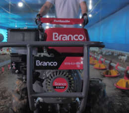 Captura de Tela 2019-09-17 às 10.32.15.png