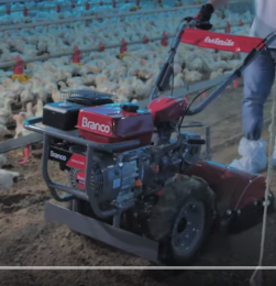 Captura de Tela 2019-09-17 às 10.33.33.png